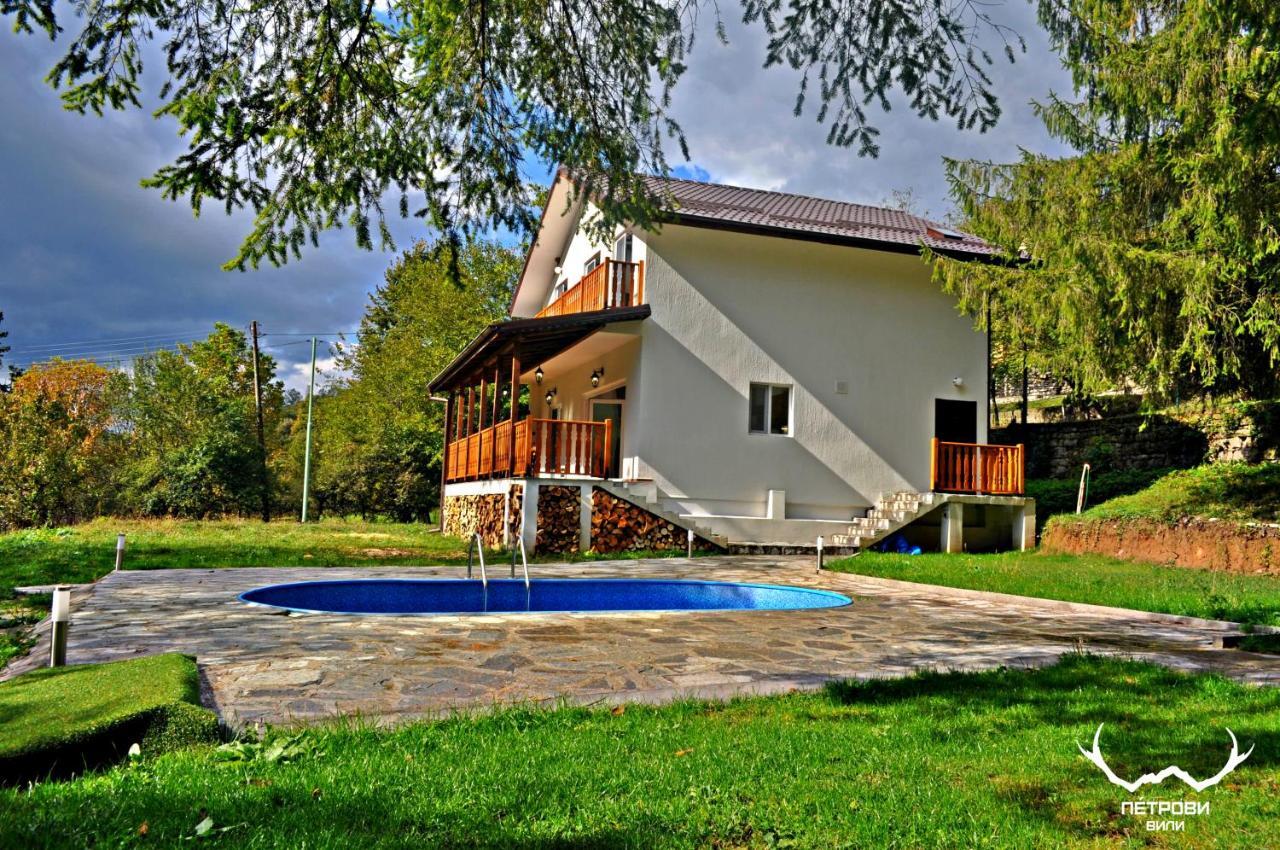 Пе́Трови Вили Ribaritsa Exteriör bild